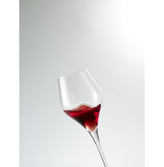 dubbellaag Uitstekend ontrouw Schott Zwiesel Finesse 6 rode wijnglazen