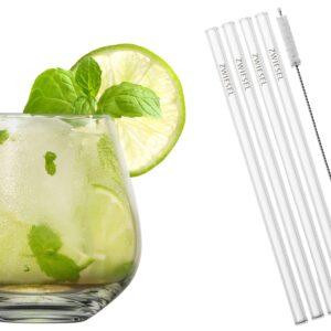 Schott Zwiesel After Work Drinks cocktailglas met  rietjes en borstel s/4