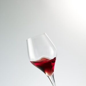 Schott Zwiesel Finesse 6 rode wijnglazen s/6