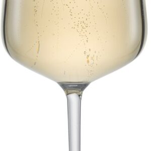 Schott Zwiesel Vervino Champagneglazen set/2