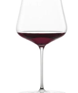 Schott Zwiesel Duo Hybrid Burgunder glas x2