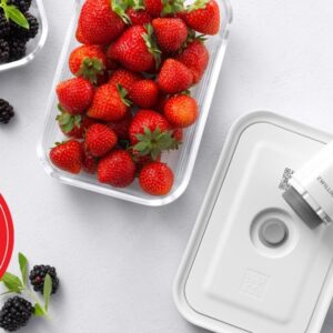 Zwilling Fresh & Save lunchbox M (2 dozen) kunststof wit