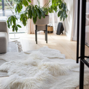 Van Buren Schapenvel Carpet XL