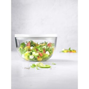 Zwilling Fresh & Save Bowl glas