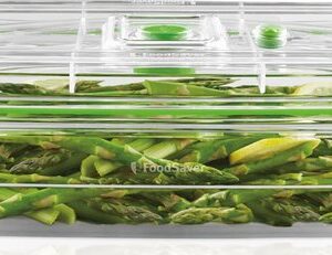 Foodsaver vershouddoos 2,3 l